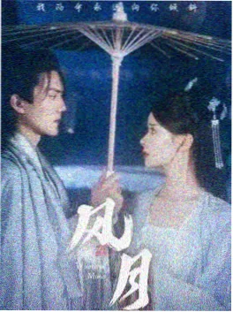 审计风暴 电视剧免费看海报